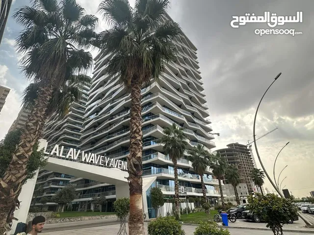 شقه للبیع مع واردات شهریه ثلاثه مائه دولار