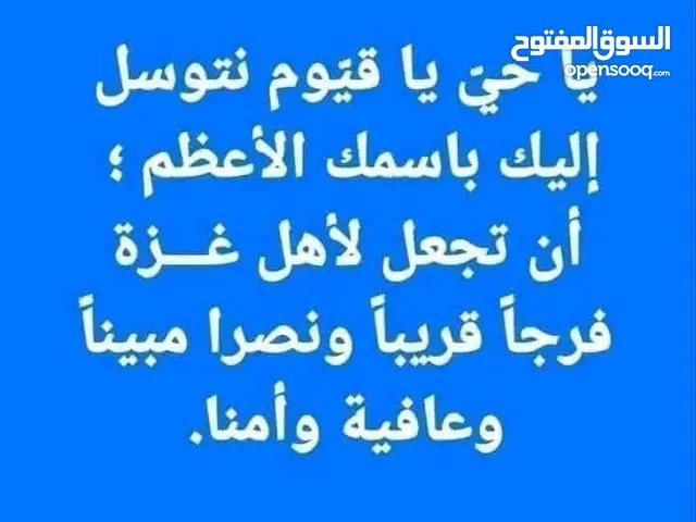 معلم حمص وفول
