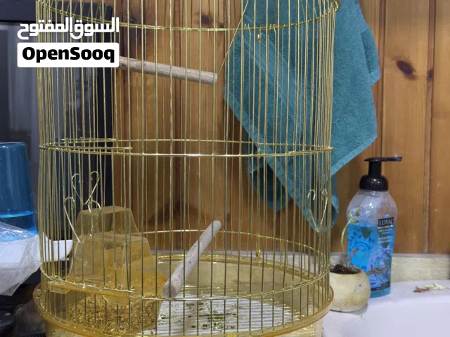 قفص ببغاء ذهبي بحالة الجديد
