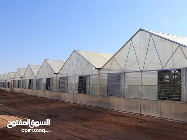 Farms for Sale in Al Riyadh Other