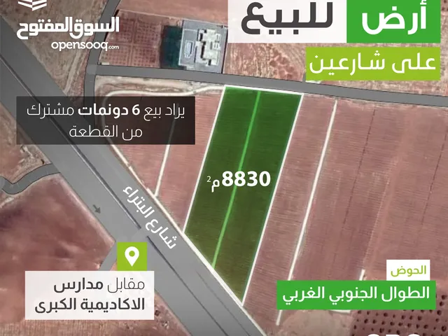 Farm Land for Sale in Irbid Al Sareeh