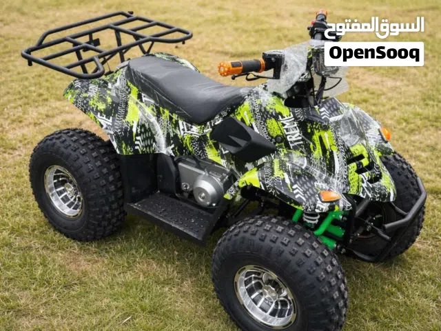 2026 QJmotor SRV