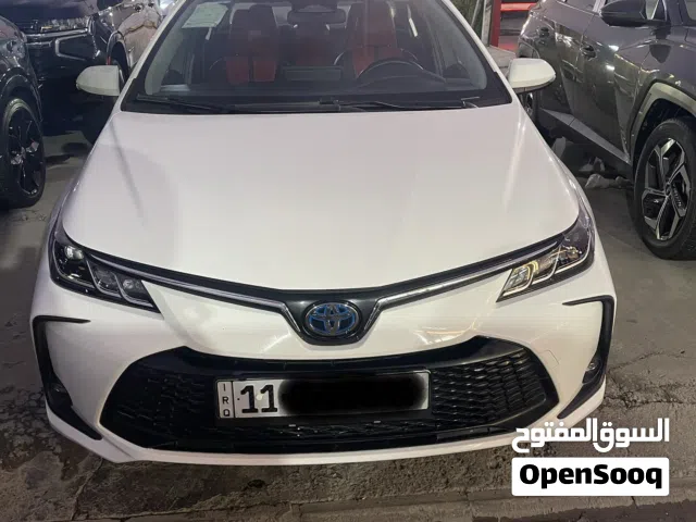 كورلا هايبرد