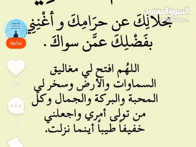 طيران كنار جزري وابيض واقفاص