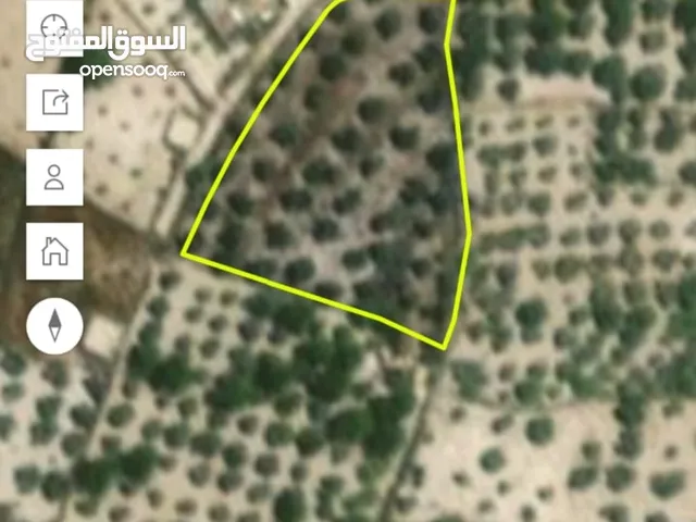Mixed Use Land for Sale in Nablus Tal St.