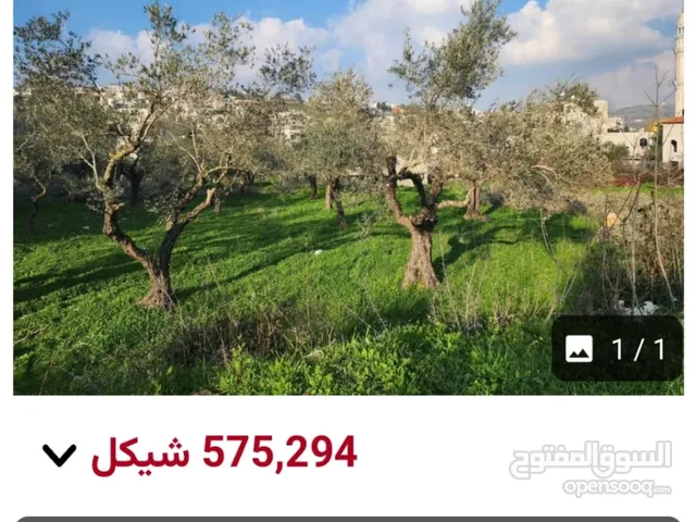 Residential Land for Sale in Ramallah and Al-Bireh Downtown