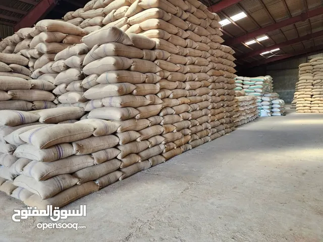 متوفر سمسم أبيض حلاوة، القضارف
