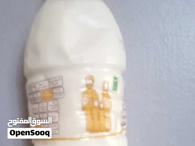 حليب بقر عماني طازج
