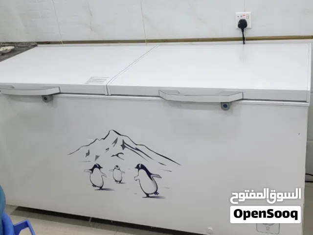 ثلاجه ارضيه بابين