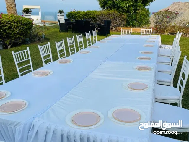 كراسي وطاولات تيفاني بيضاء للإيجار White tiffany chairs and tables for rent