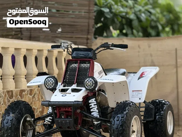 بانشي 2005 نظييف