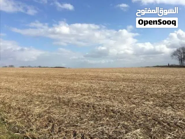 Farm Land for Sale in Benghazi Sidi Khalifa