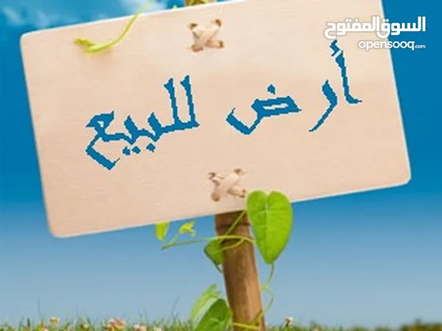 Farm Land for Sale in Basra Abu Al-Khaseeb