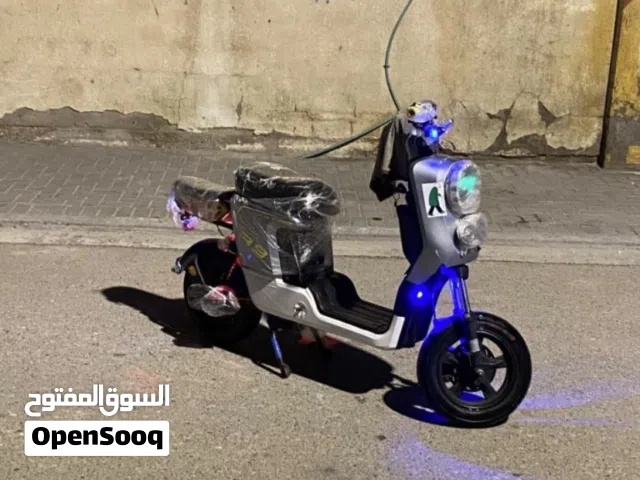 2024 اخرى اخرى
