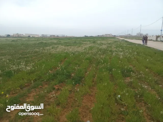 ارض للبيع في اجمل مناطق الرجم الشامي في سحاب
