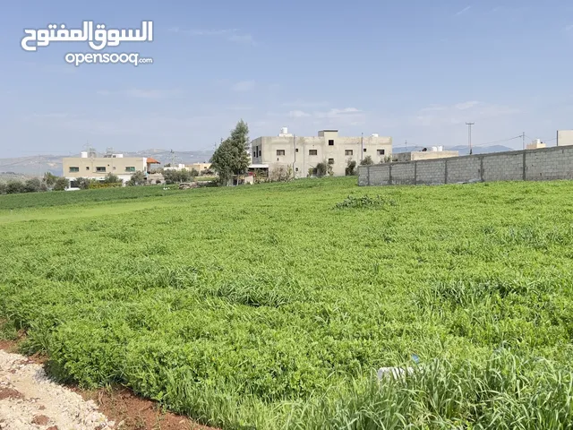 Mixed Use Land for Sale in Salt Al Subeihi