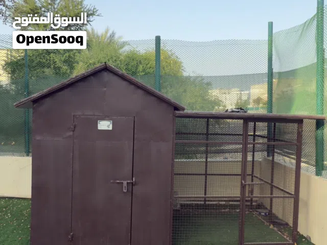 Dog House بيت للكلاب