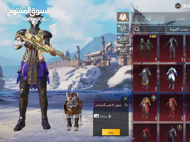 Pubg Accounts and Characters for Sale in Abu Dhabi