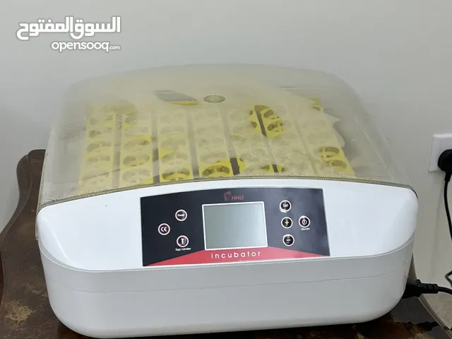 فقاسة incubator