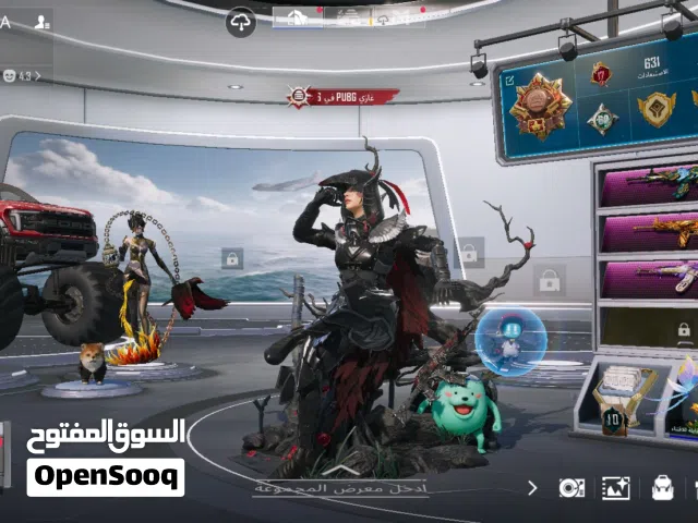 Pubg Accounts and Characters for Sale in Ramallah and Al-Bireh