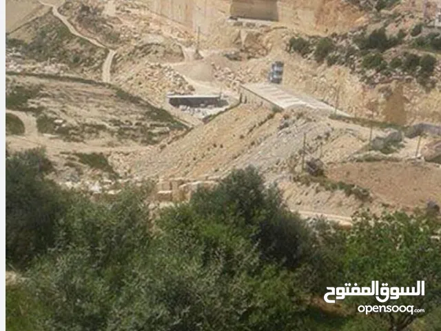 Mixed Use Land for Sale in Hebron Tapuah