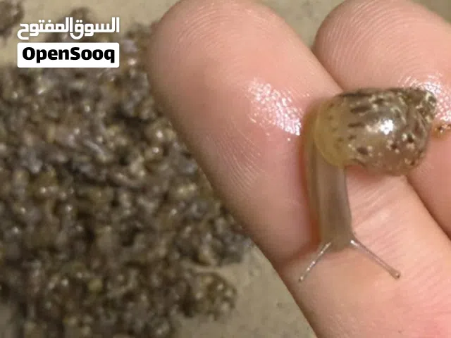 اقرا الوصف اولا.