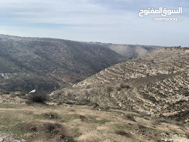 Residential Land for Sale in Irbid Samar