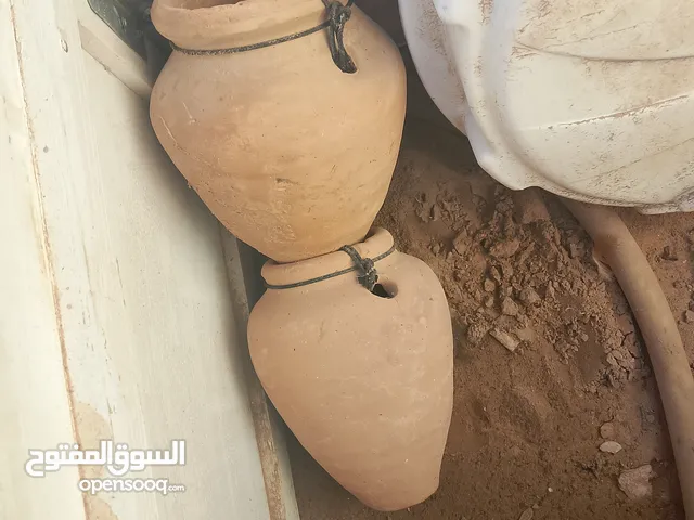 جرات زيبرة