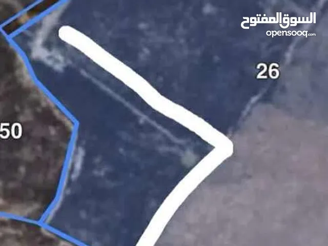 الموقع: طلوزة – سهل سميط الغربي