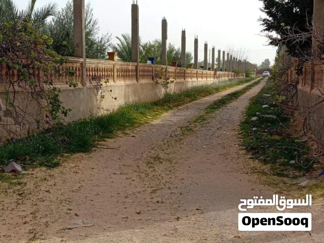Commercial Land for Sale in Tripoli Tajura