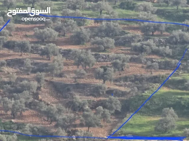 ارض لقطة للبيع بمساحة 605 متر مربع واصلها خدمات مياه وكهرباء للبيع