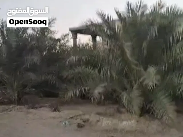 مزرعه 2دونم في منطقه الشعيبه قرب محطه القطار