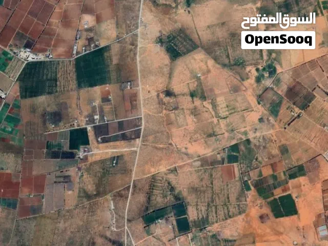 ارض بين لطلحية ولمقزحة   امتداد شارع لغاز الطلحية جايةعلى شارعين قطران