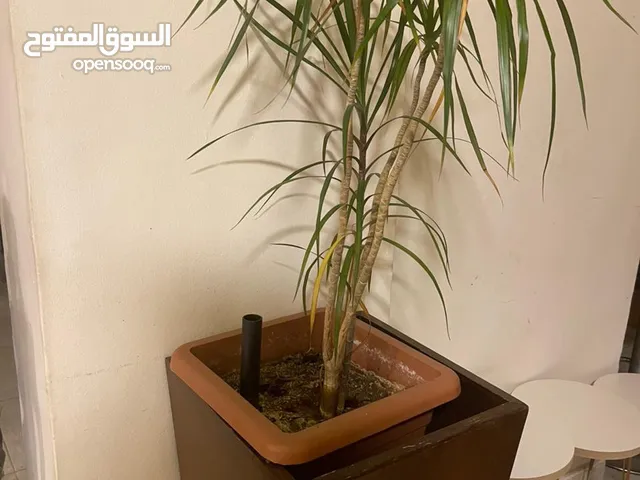 نثريات بيت للبيع