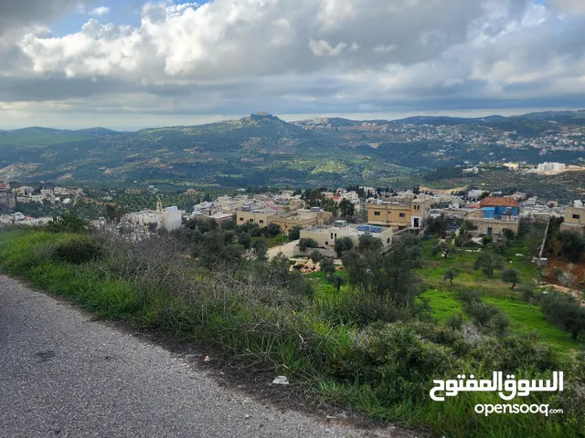 Residential Land for Sale in Ajloun A'anjara