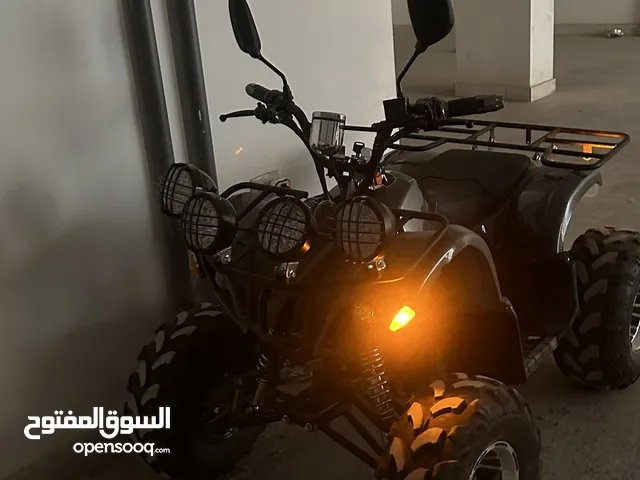 Electric LT Rider ATV 500W 48V Very low milage