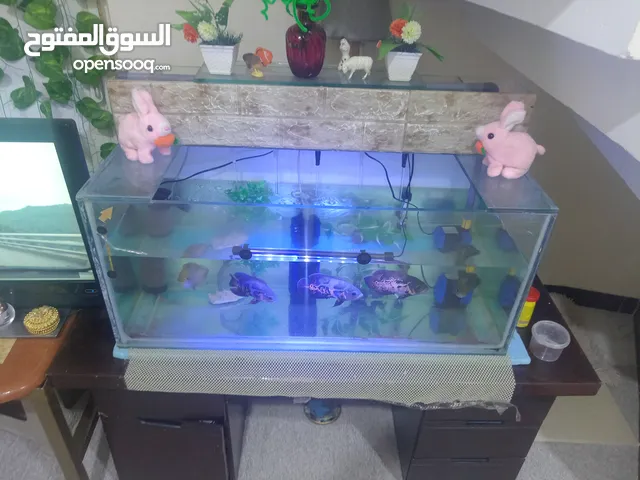 حوض أسماك مع ميز للبيع بسعر مناسب