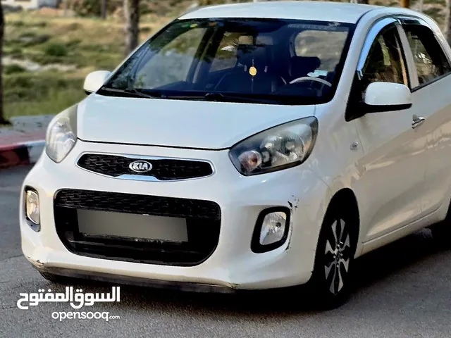 كيا بيكانتو الأبيض ترخيص 2015 الفيراني ترخيص 2016 كاش كاش