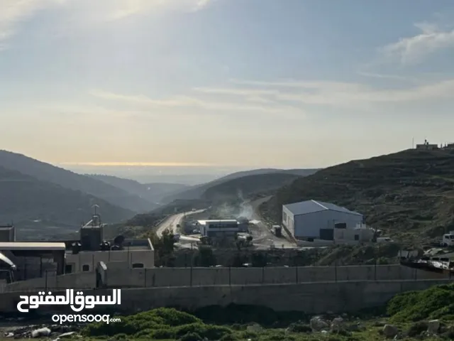 ارض للبيع في بيتونيا