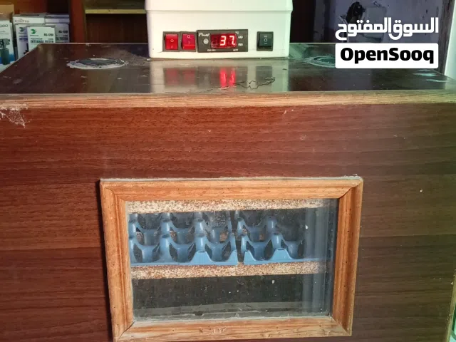 يوجد فقاسه تسا 120 بيضه للبدل على كوم حب او كوم كوكتيل او دجاج بلدي