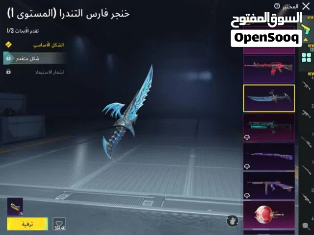 Pubg Accounts and Characters for Sale in Al Batinah