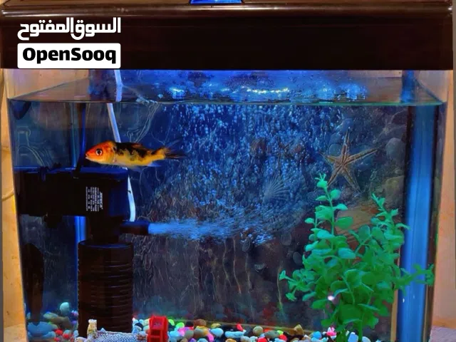 للبيع حوض سمك