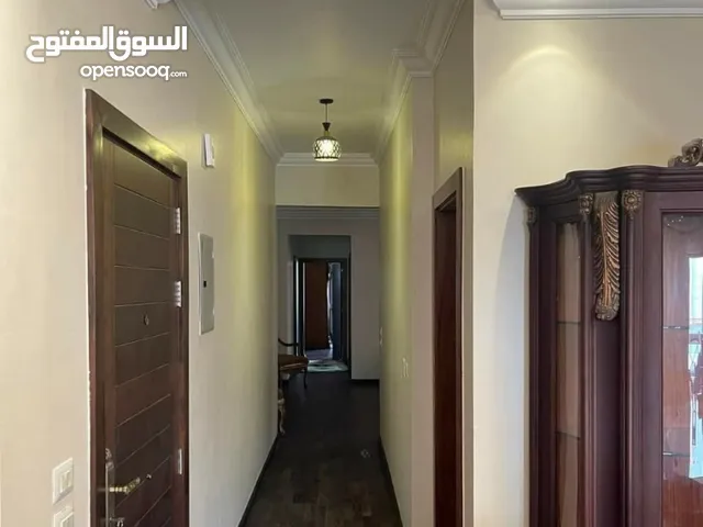 225 m2 3 Bedrooms Apartments for Rent in Cairo Fifth Settlement