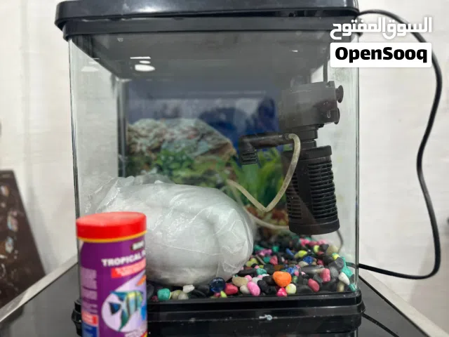 حوض سمك نظيف