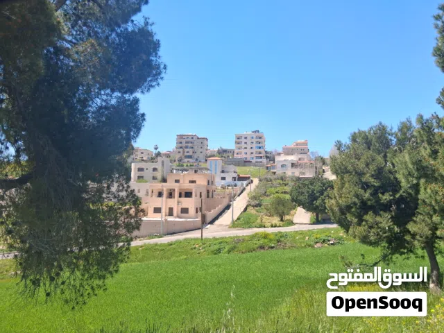 Residential Land for Sale in Salt Shafa Al-Amriya