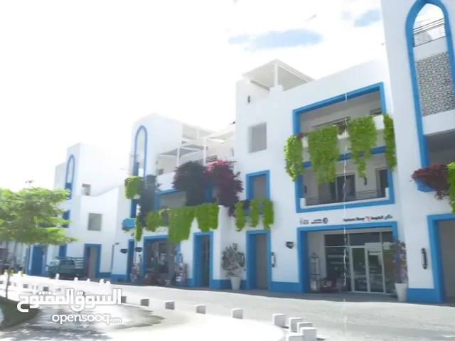 اروع الاماكن السياحيه في العقبه شقه داخل ايلا استمتع في اقامه على البحر مباشره أقل اسعار خدمه VIP