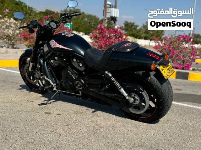 2013 هارلي ديفيدسون أخرى
