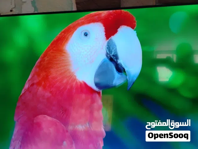 شاشه هاينسز 65 سمارت