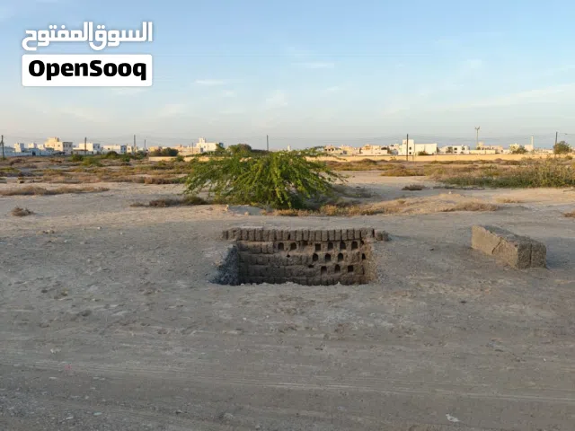 أرض زراعية للبيع – المصنعة / عبالي الساحل - تصريح حفر بئر