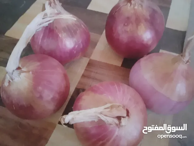 بصل احمر جودة عالية حبة كبيرة مخاوي